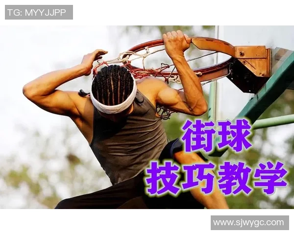 从零基础到篮球高手的全方位力量训练指南与实用技巧分享