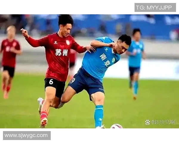 南京足球队在全国锦标赛中的团队协作表现分析与点评