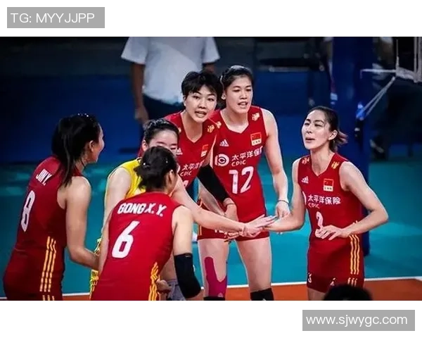 杭州排球队战术解析：聚焦团队协作与技术创新的完美结合