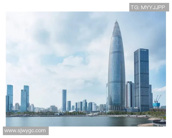 深圳羽毛球队灵活性深度解析与其他城市队伍的对比分析