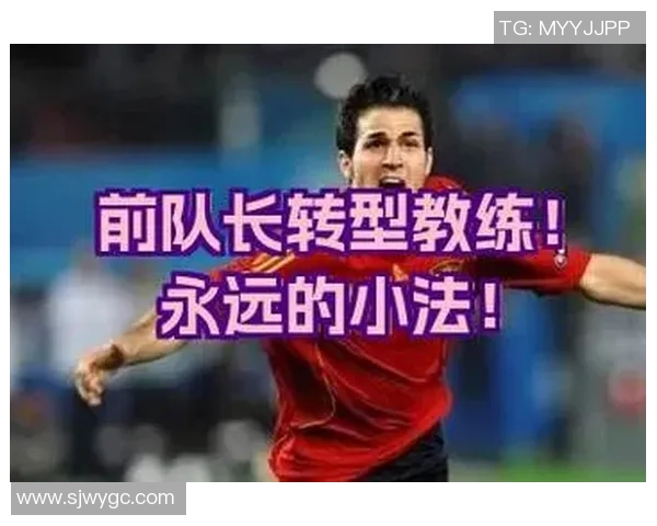 武汉足球队的转型之路：从传统强队到现代化足球的深度解析