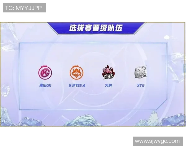 聚焦王者荣耀TES战队的崛起与力量解析之路