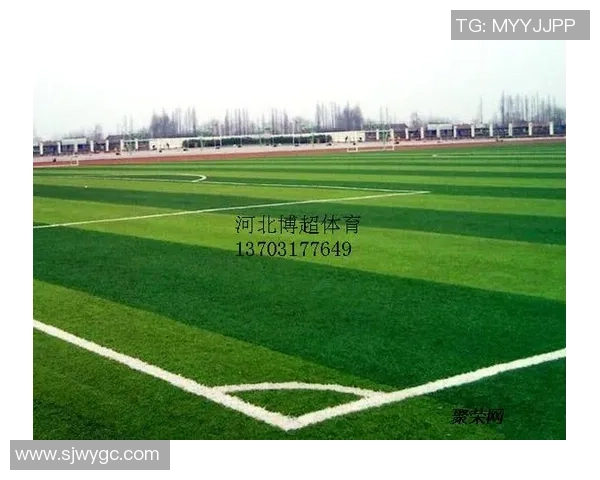 足球草坪基层建设的重要性与维护技巧解析