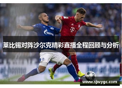莱比锡对阵沙尔克精彩直播全程回顾与分析