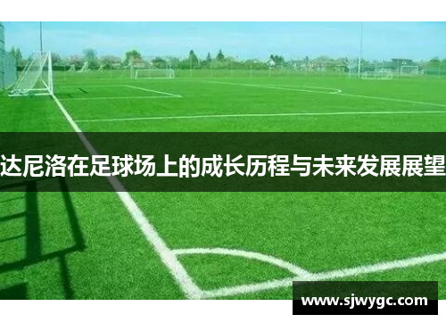 达尼洛在足球场上的成长历程与未来发展展望