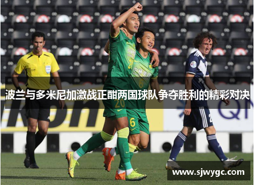 波兰与多米尼加激战正酣两国球队争夺胜利的精彩对决