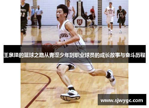 王泉泽的篮球之路从青涩少年到职业球员的成长故事与奋斗历程